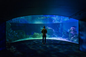 A person standing in an underwater tunnel observing marine life, featured in the Award Spotlight of trade publications for distinguished projects honored.