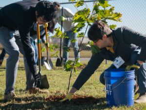 Two Vondace Contracting employees are planting a tree in a grassy area using a shovel and a blue bucket. A sturdy fence stands in the background, framing their scene of growth and collaboration.
