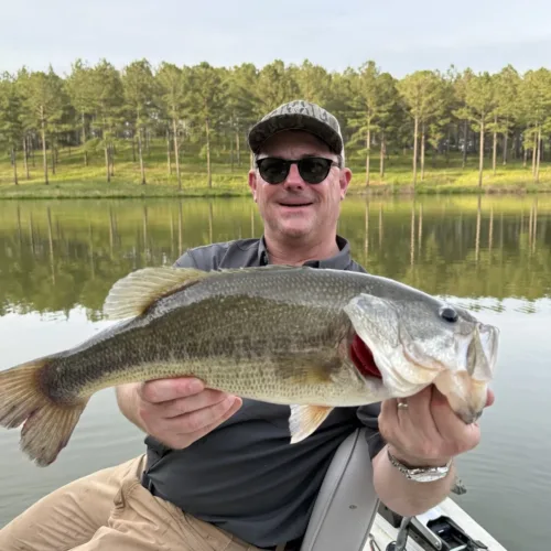 A man sitting in a boat on a lake holds a large fish with both hands. Pine trees and calm water are visible in the background.